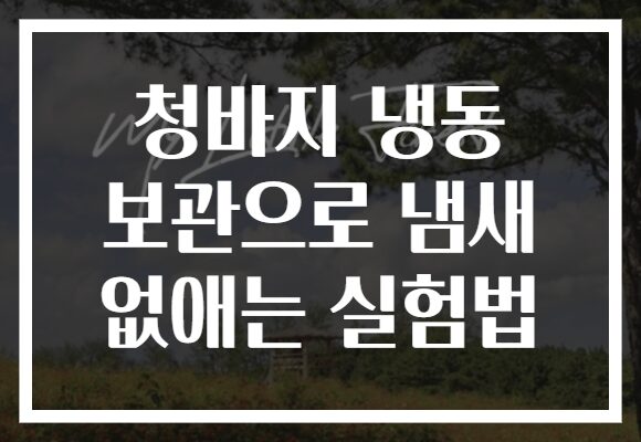 청바지 냉동 보관으로 냄새 없애는 실험법