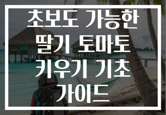 초보도 가능한 딸기 토마토 키우기 기초 가이드