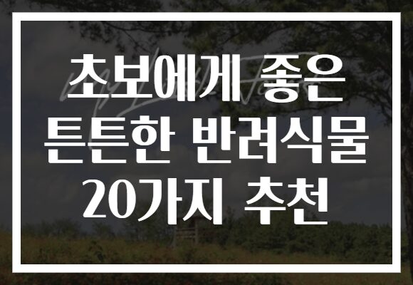 초보에게 좋은 튼튼한 반려식물 20가지 추천