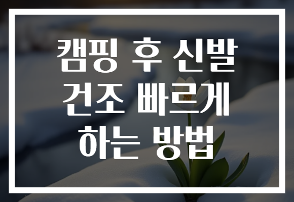 캠핑 후 신발 건조 빠르게 하는 방법