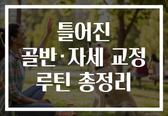 틀어진 골반·자세 교정 루틴 총정리