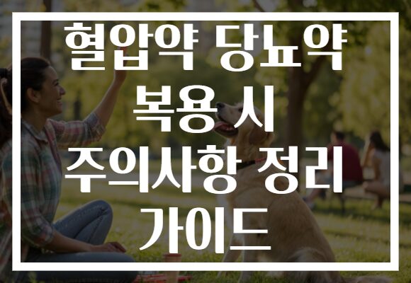 혈압약 당뇨약 복용 시 주의사항 정리 가이드