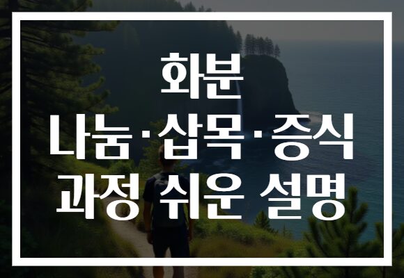 화분 나눔·삽목·증식 과정 쉬운 설명