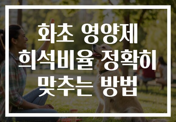 화초 영양제 희석비율 정확히 맞추는 방법