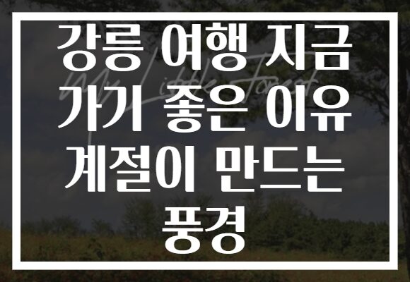 강릉 여행 지금 가기 좋은 이유 계절이 만드는 풍경