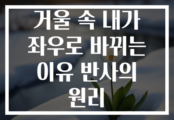 거울 속 내가 좌우로 바뀌는 이유 반사의 원리