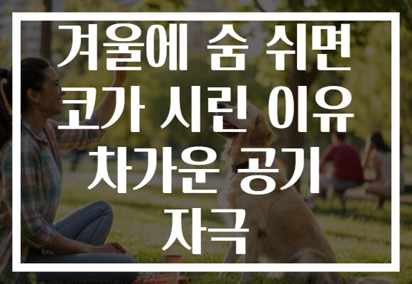 겨울에 숨 쉬면 코가 시린 이유 차가운 공기 자극