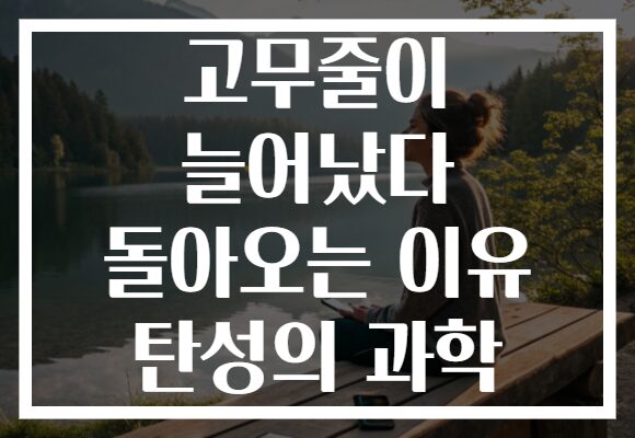 고무줄이 늘어났다 돌아오는 이유 탄성의 과학