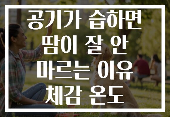 공기가 습하면 땀이 잘 안 마르는 이유 체감 온도