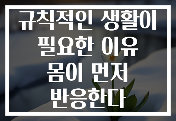 규칙적인 생활이 필요한 이유 몸이 먼저 반응한다