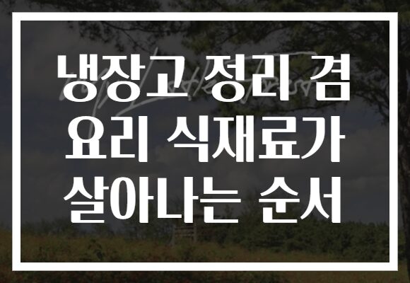 냉장고 정리 겸 요리 식재료가 살아나는 순서