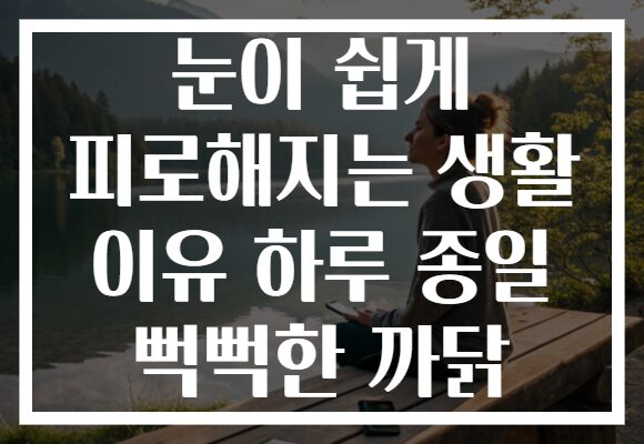 눈이 쉽게 피로해지는 생활 이유 하루 종일 뻑뻑한 까닭