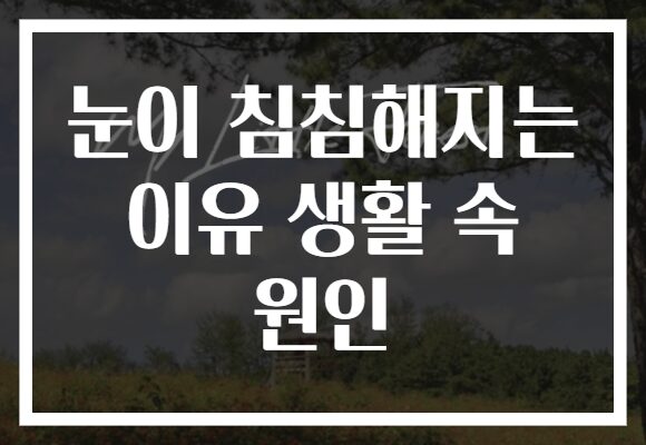 눈이 침침해지는 이유 생활 속 원인