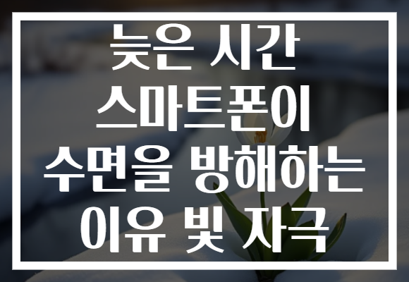 늦은 시간 스마트폰이 수면을 방해하는 이유 빛 자극