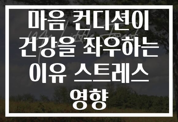 마음 컨디션이 건강을 좌우하는 이유 스트레스 영향