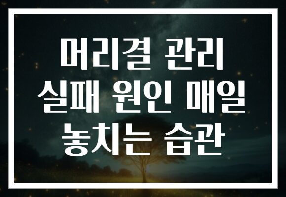 머리결 관리 실패 원인 매일 놓치는 습관