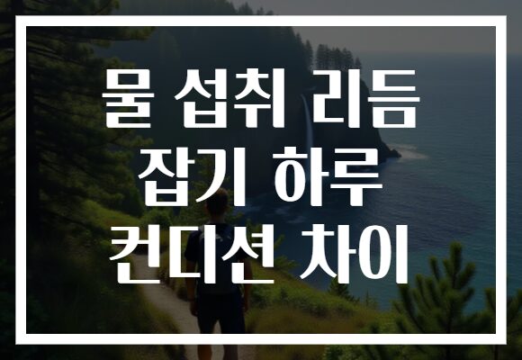 물 섭취 리듬 잡기 하루 컨디션 차이