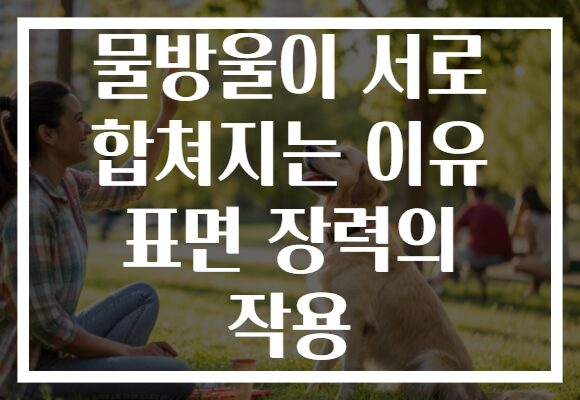 물방울이 서로 합쳐지는 이유 표면 장력의 작용