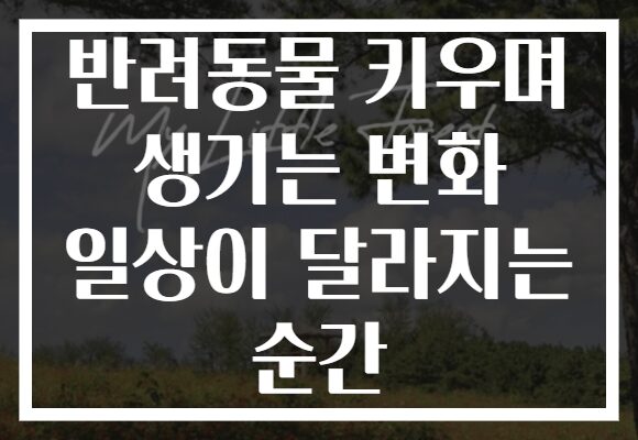 반려동물 키우며 생기는 변화 일상이 달라지는 순간