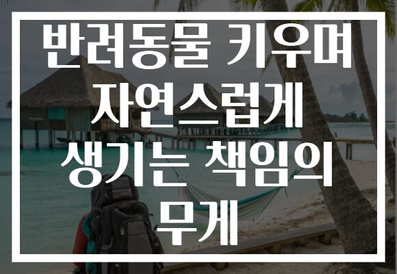 반려동물 키우며 자연스럽게 생기는 책임의 무게
