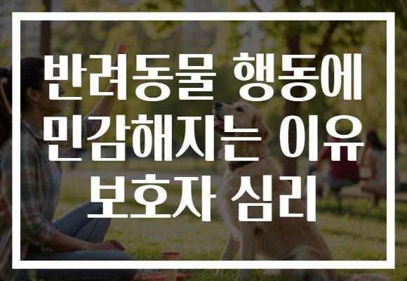 반려동물 행동에 민감해지는 이유 보호자 심리