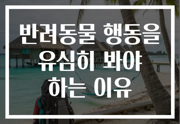 반려동물 행동을 유심히 봐야 하는 이유