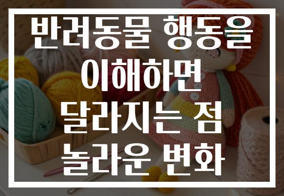 반려동물 행동을 이해하면 달라지는 점 놀라운 변화
