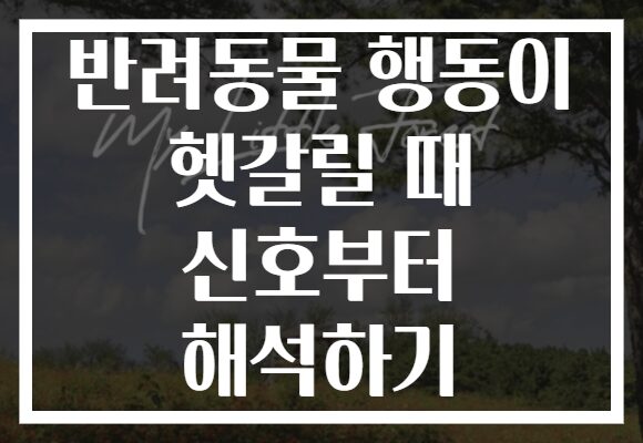 반려동물 행동이 헷갈릴 때 신호부터 해석하기