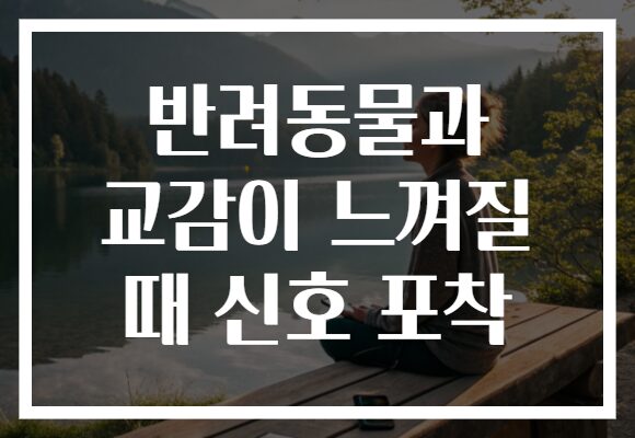 반려동물과 교감이 느껴질 때 신호 포착