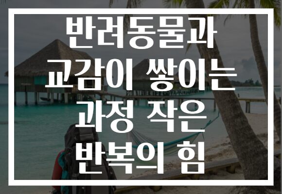 반려동물과 교감이 쌓이는 과정 작은 반복의 힘