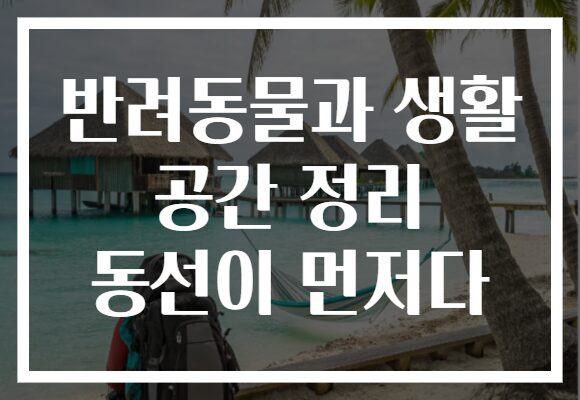 반려동물과 생활 공간 정리 동선이 먼저다