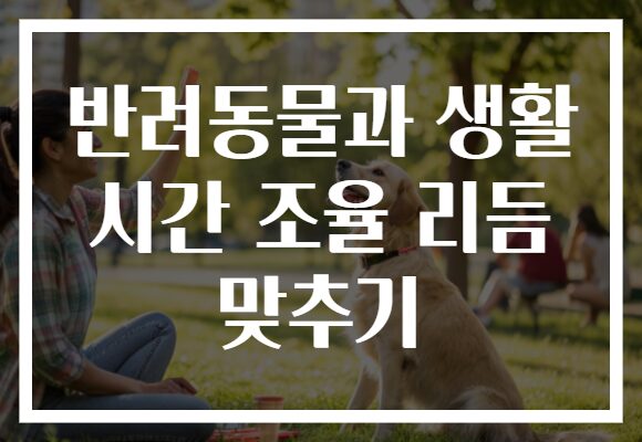반려동물과 생활 시간 조율 리듬 맞추기