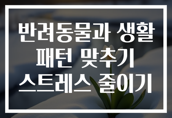 반려동물과 생활 패턴 맞추기 스트레스 줄이기