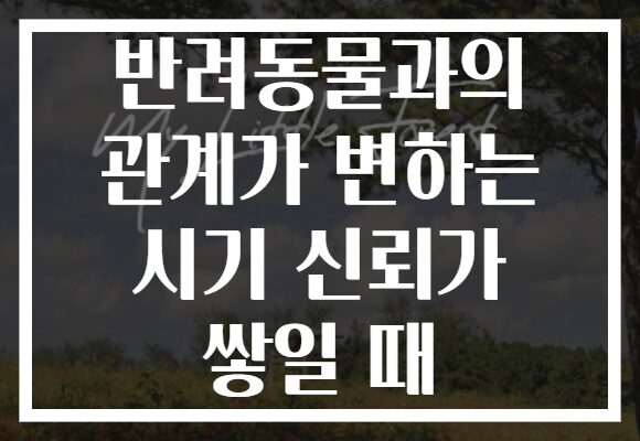 반려동물과의 관계가 변하는 시기 신뢰가 쌓일 때