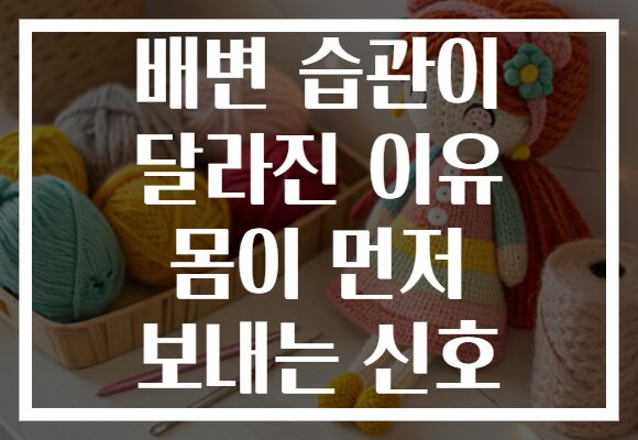 배변 습관이 달라진 이유 몸이 먼저 보내는 신호