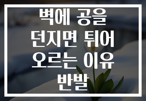 벽에 공을 던지면 튀어 오르는 이유 반발