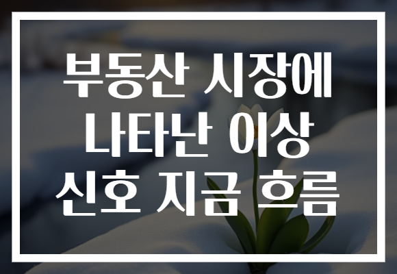 부동산 시장에 나타난 이상 신호 지금 흐름