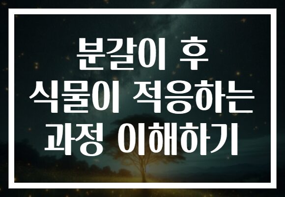 분갈이 후 식물이 적응하는 과정 이해하기