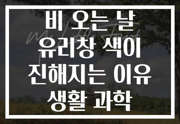 비 오는 날 유리창 색이 진해지는 이유 생활 과학