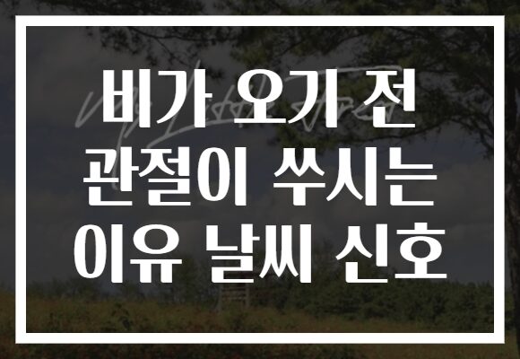 비가 오기 전 관절이 쑤시는 이유 날씨 신호