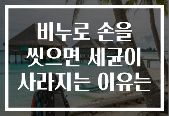 비누로 손을 씻으면 세균이 사라지는 이유는