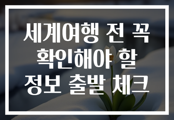 세계여행 전 꼭 확인해야 할 정보 출발 체크