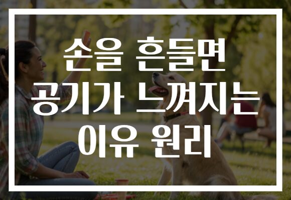 손을 흔들면 공기가 느껴지는 이유 원리