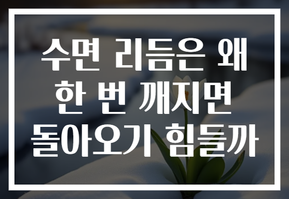 수면 리듬은 왜 한 번 깨지면 돌아오기 힘들까