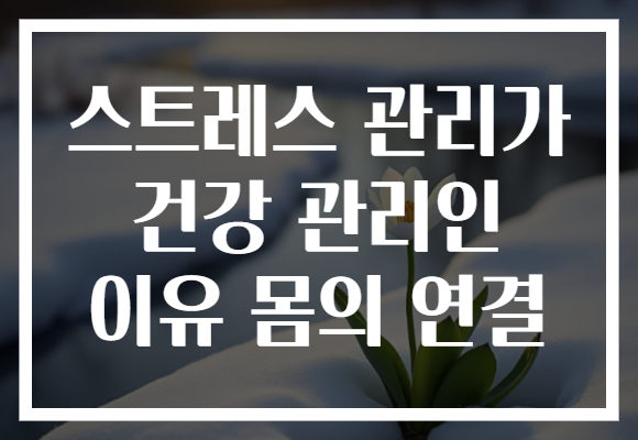 스트레스 관리가 건강 관리인 이유 몸의 연결