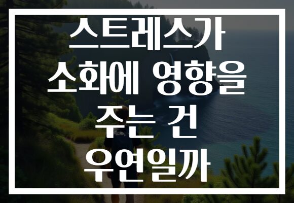 스트레스가 소화에 영향을 주는 건 우연일까