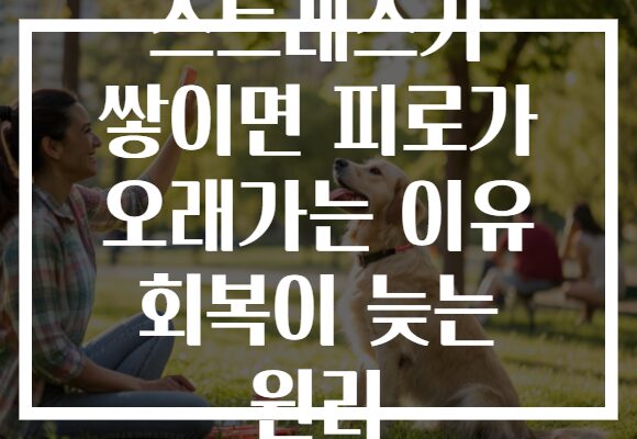 스트레스가 쌓이면 피로가 오래가는 이유 회복이 늦는 원리