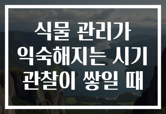 식물 관리가 익숙해지는 시기 관찰이 쌓일 때