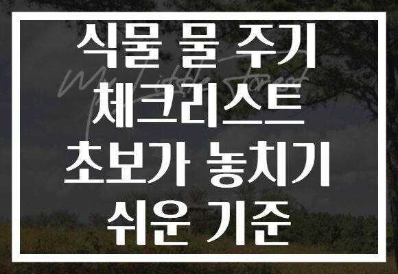 식물 물 주기 체크리스트 초보가 놓치기 쉬운 기준