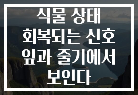 식물 상태 회복되는 신호 잎과 줄기에서 보인다